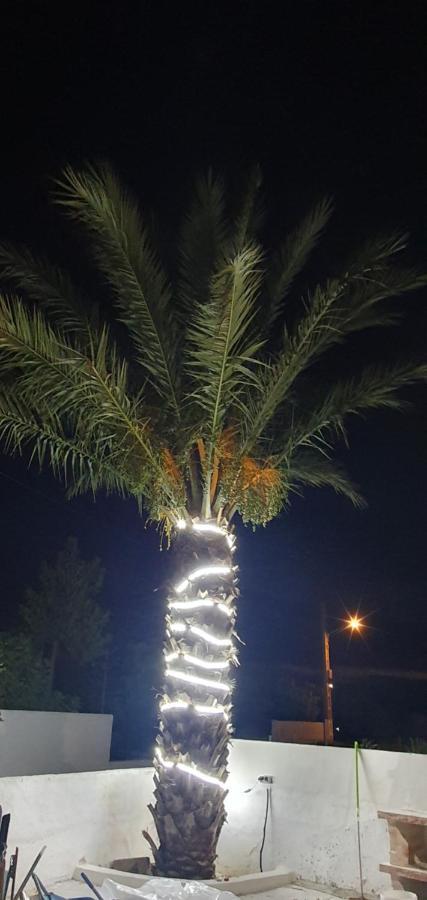 Apartamentos La Palmera Fernan Perez Kültér fotó